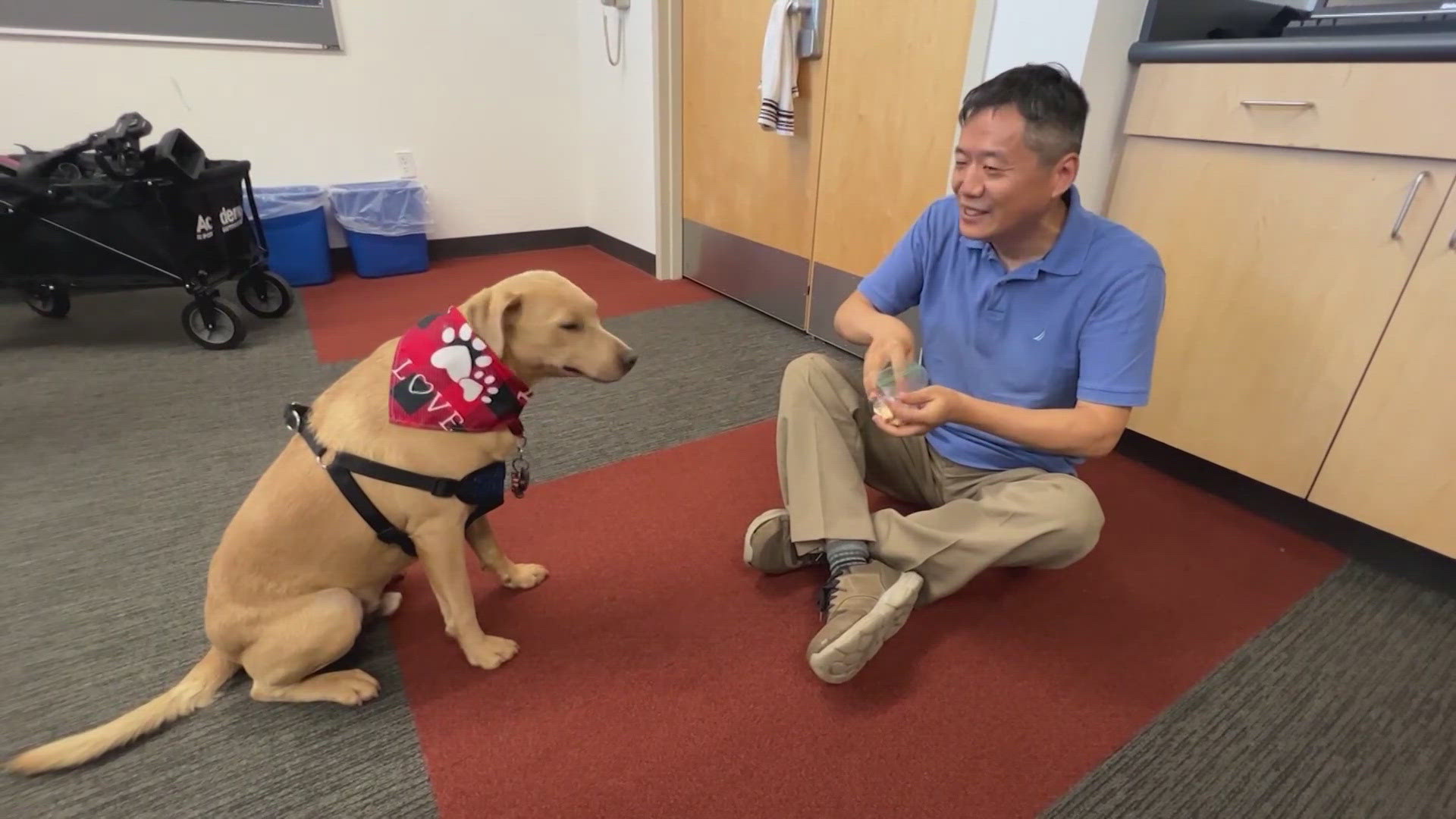 Professor of Computer Science, Kenney Zhu, is learning to translate dog sounds in phonetic representations and eventually words.