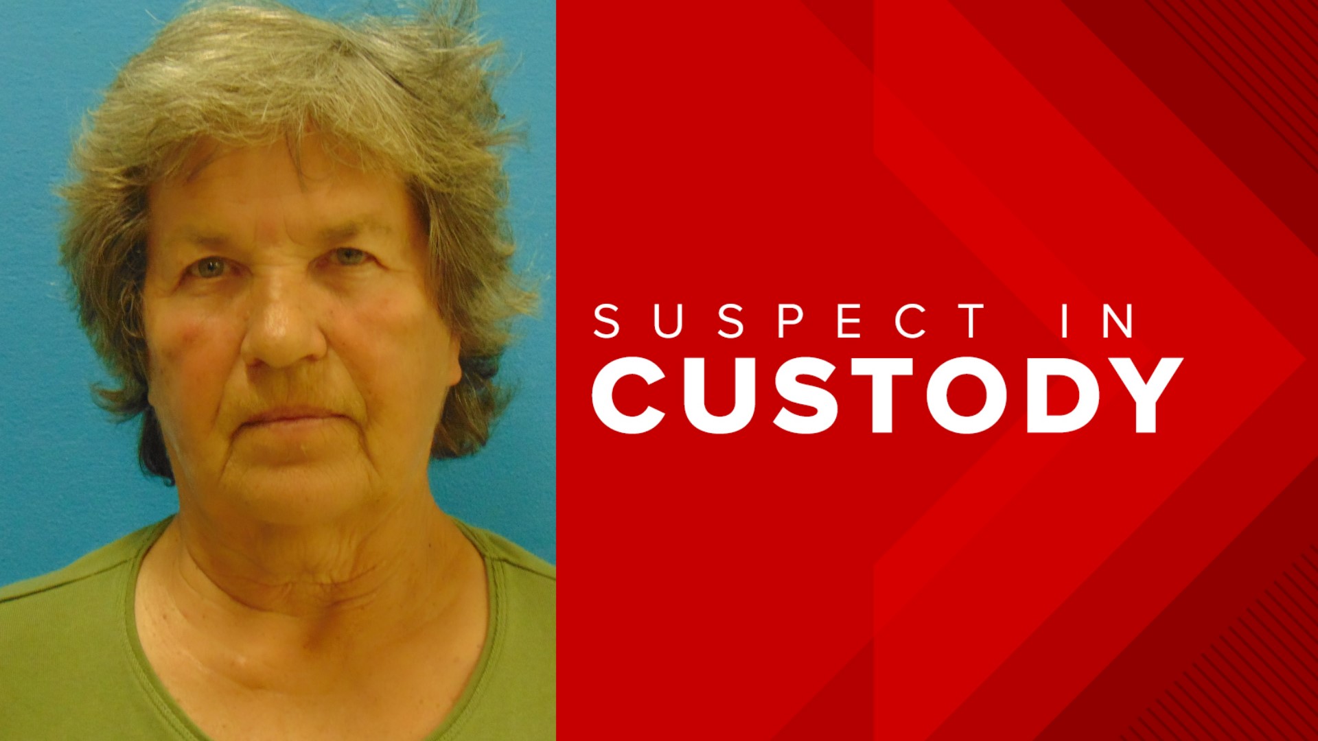 Woman arrested, charged with animal cruelty after dogs found living in ...