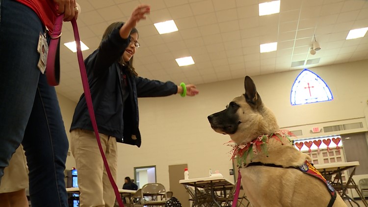 'They make you feel happy': How therapy dogs are helping a Uvalde Catholic school
