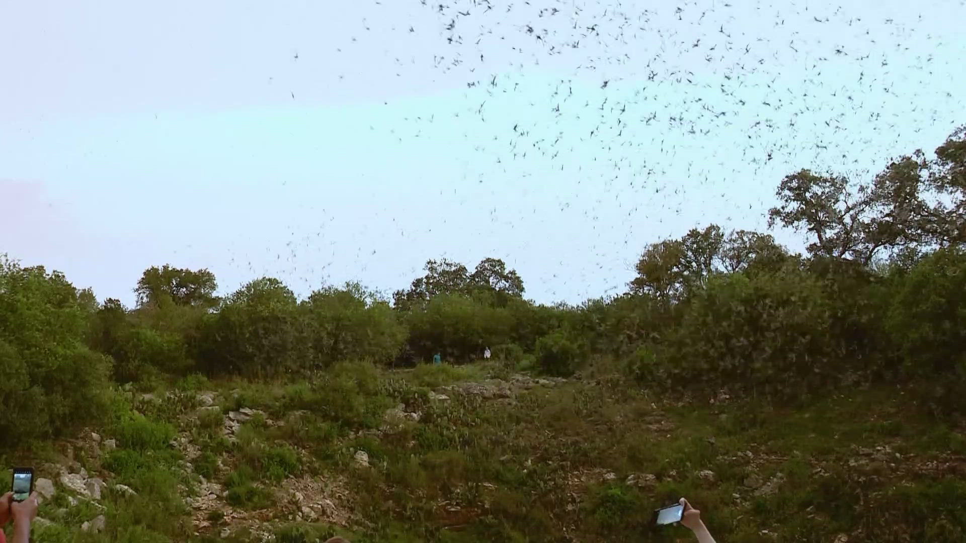 Barry Davis heads to Bracken Cave for the latest Texas Outdoors.