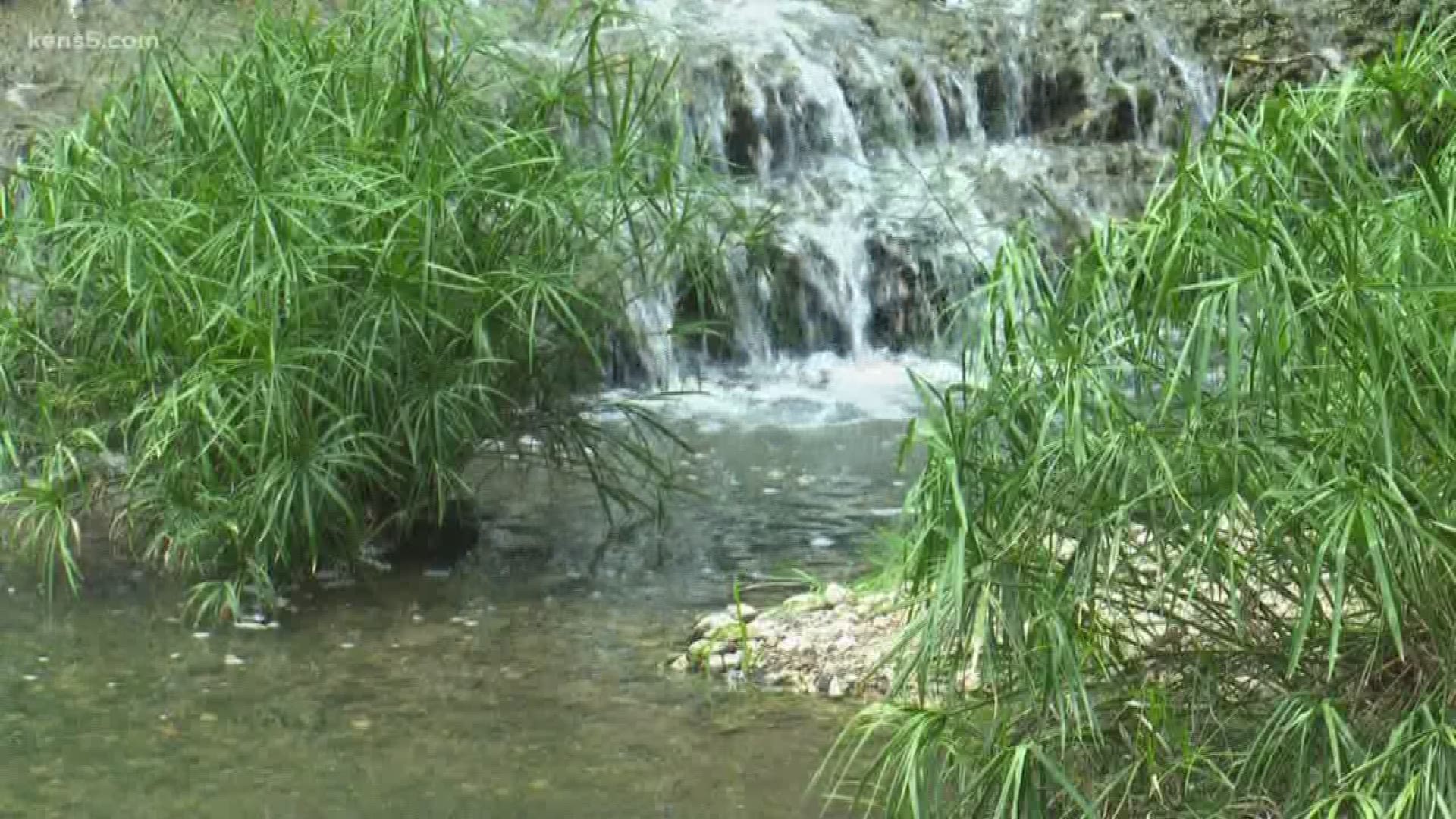 A study found fecal contamination in local natural waterways.