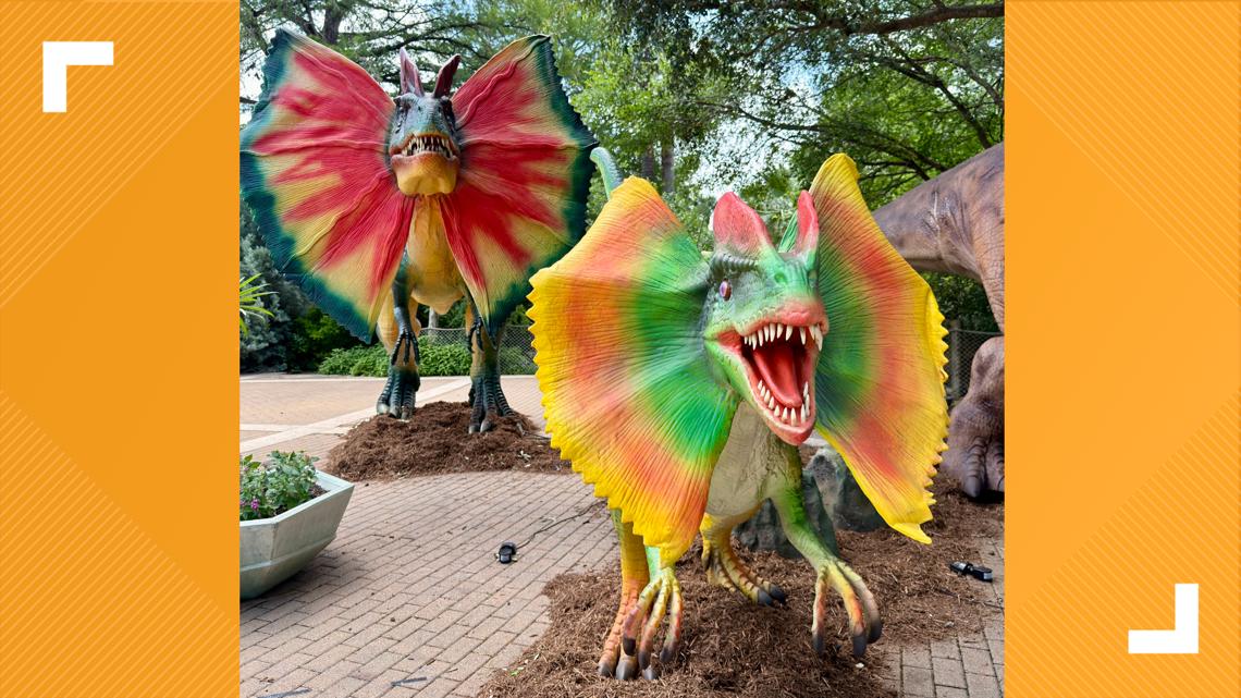 Jurassic-sized fun stomps into San Antonio Zoo this summer