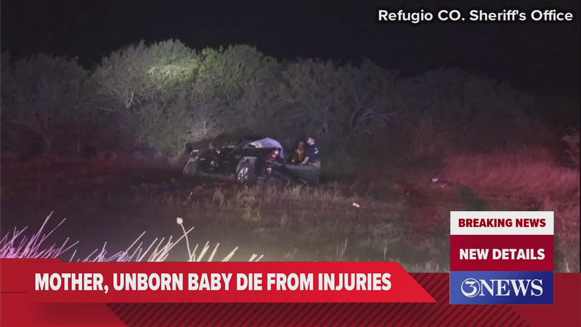 Woman, unborn baby die in crash after hitting alligator near Corpus  Christi, deputies say