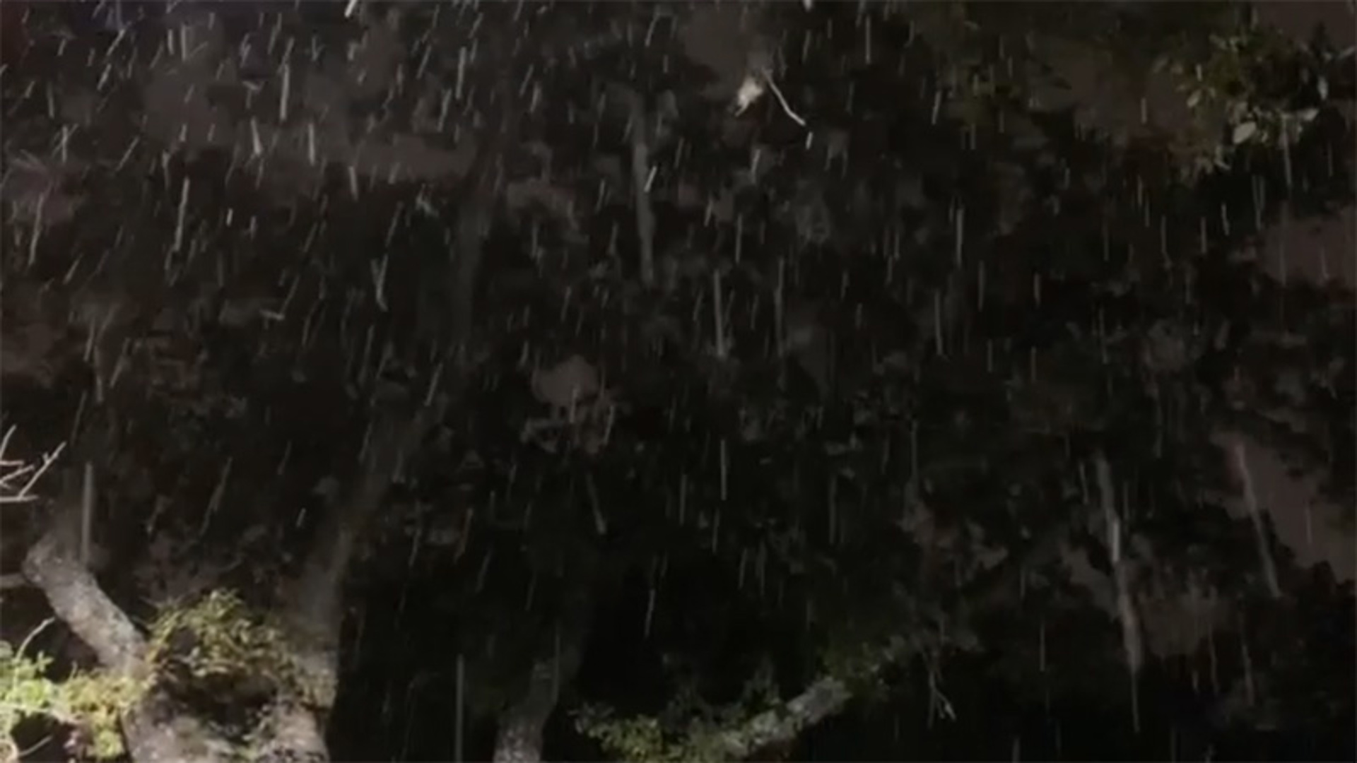 Snow falls in northwest San Antonio