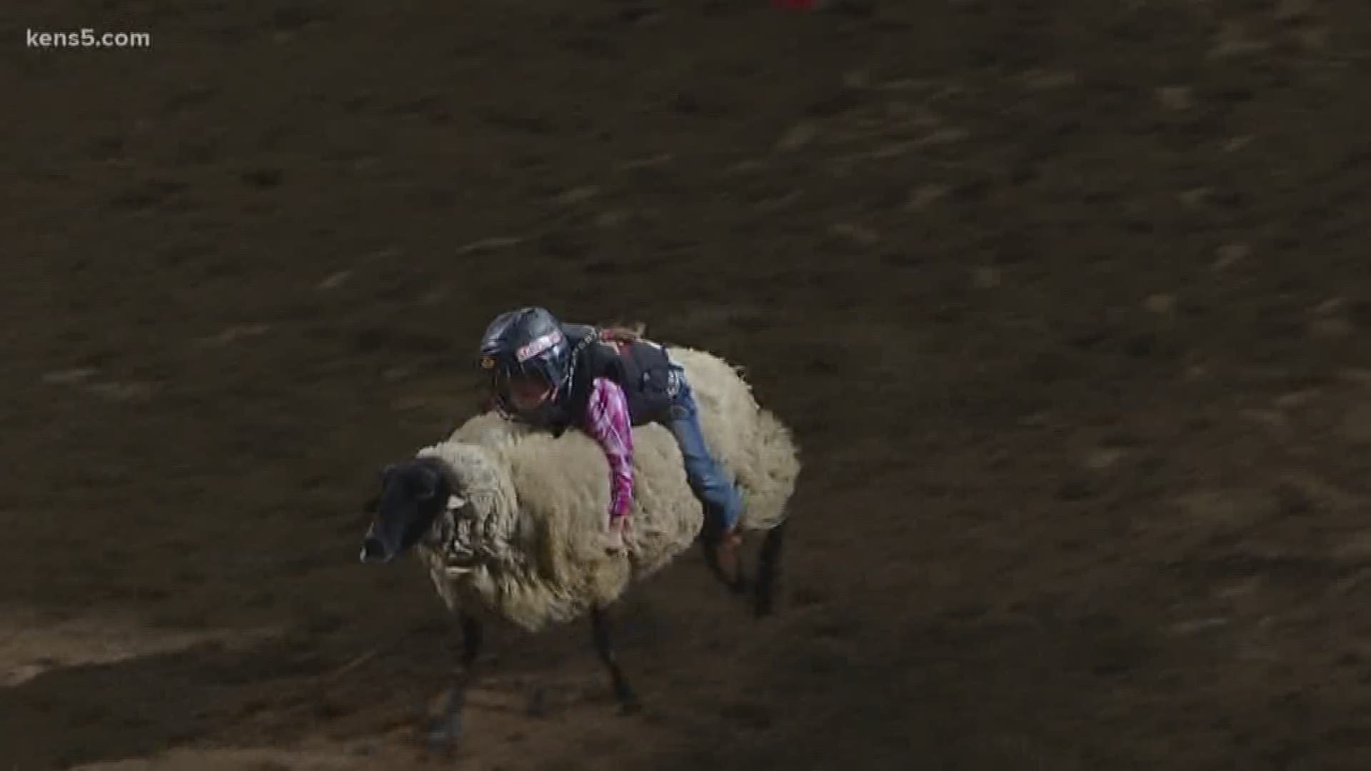 Rookie status at the San Antonio Rodeo meant nothin' to this 4-year-old girl