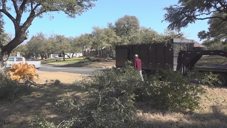 Oak wilt is another thing residents should worry about during winter storm cleanup