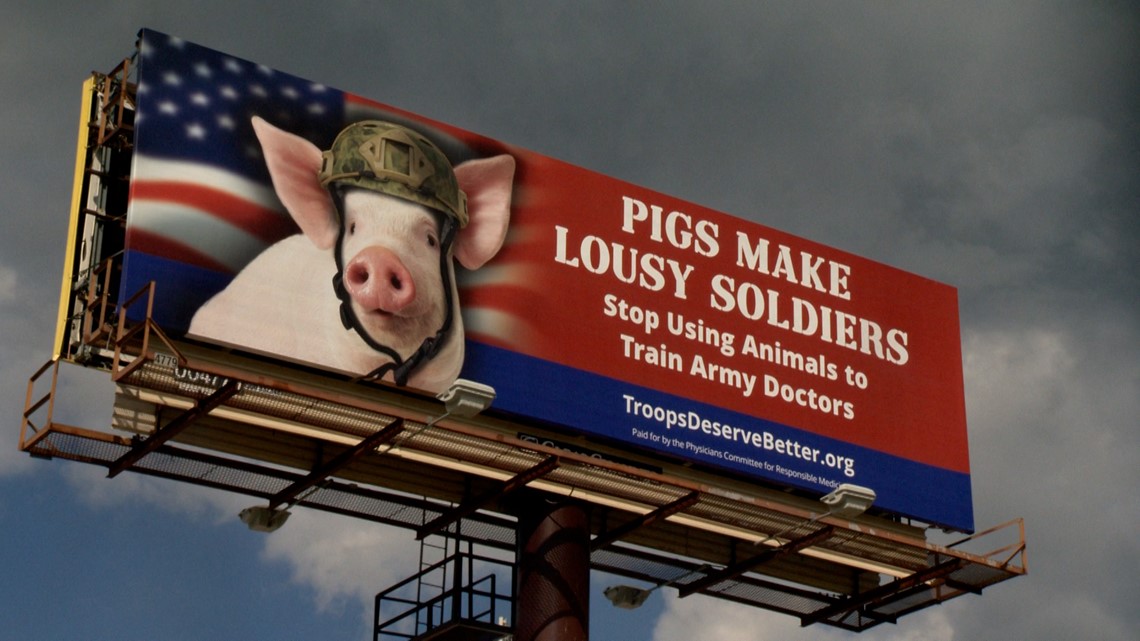 'Pigs make lousy soldiers' Why billboards along I-35 are targeting BAMC - Vimarsana News