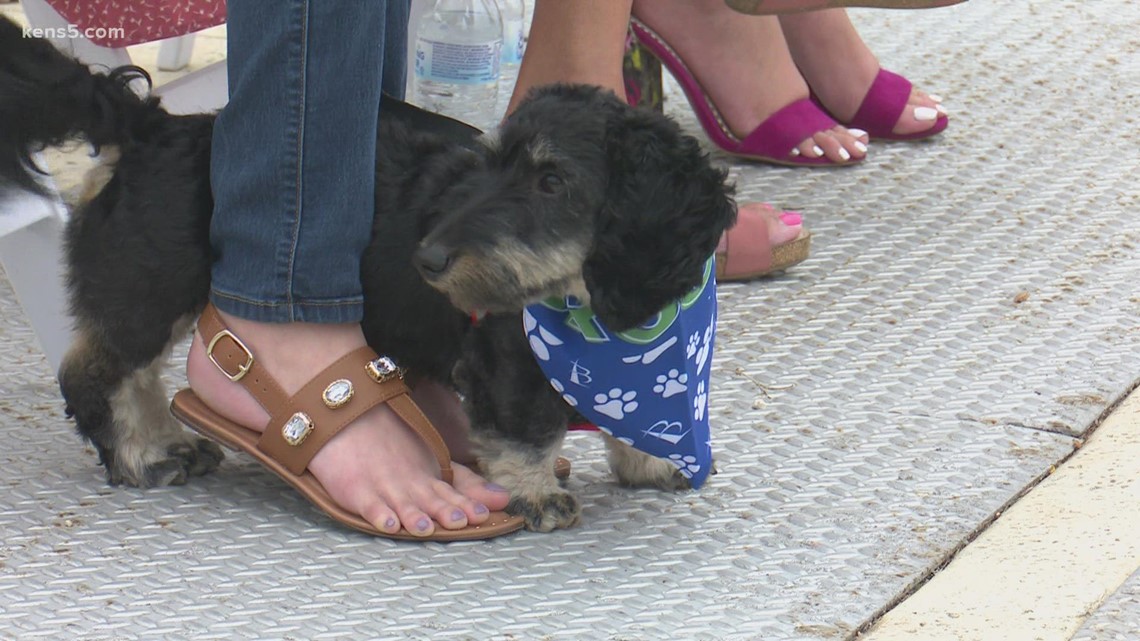 Off the leash dog park opens on the southeast side