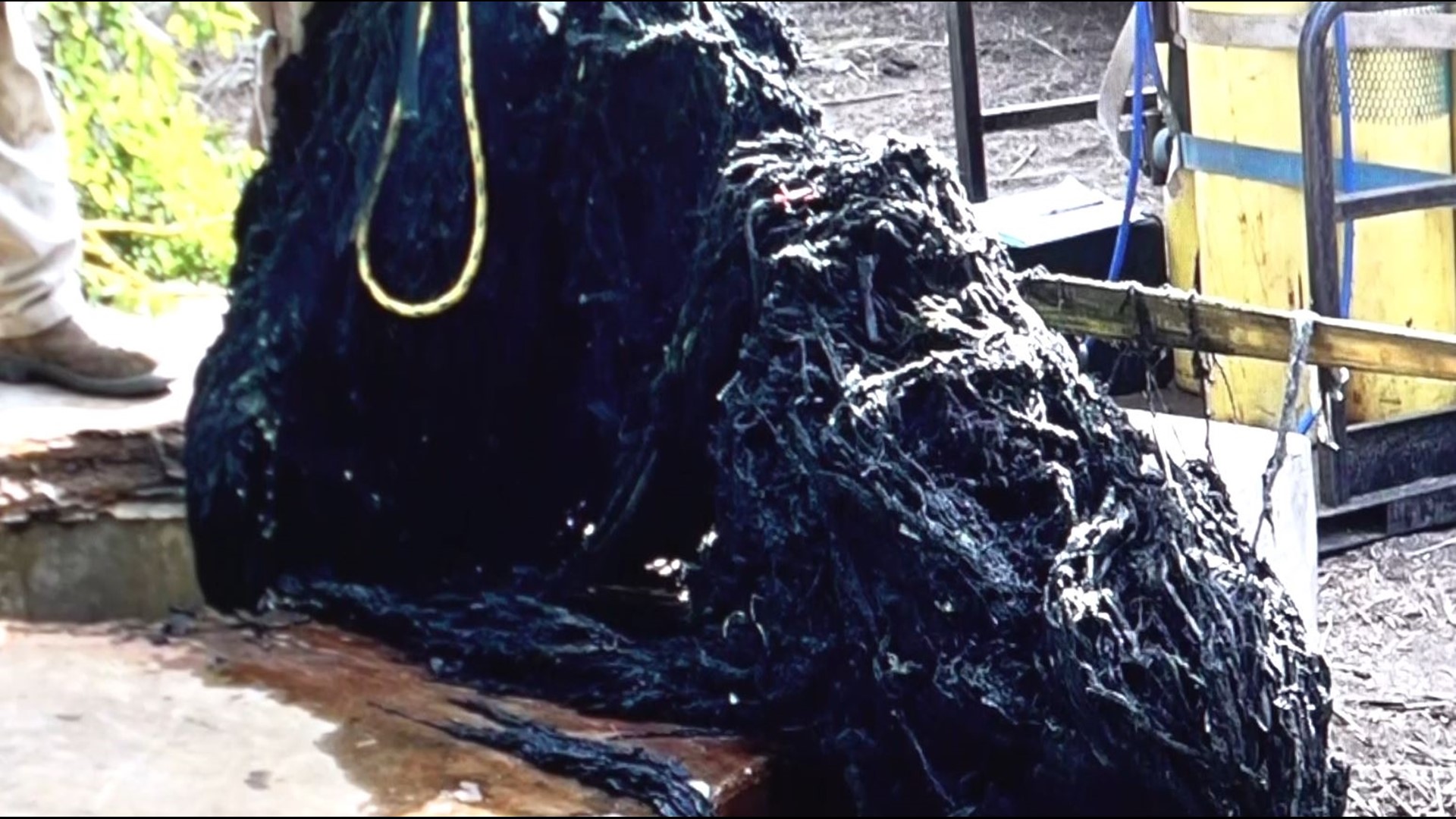 Grease, wipes, debris combine to cause huge sewage spill after rainy