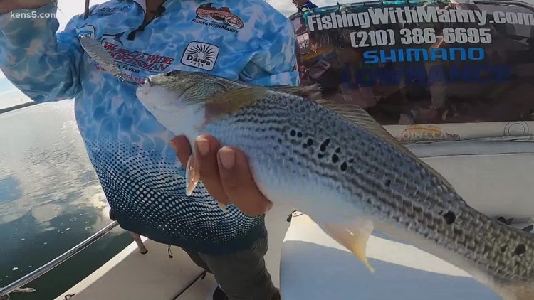 Catch and release redfish on Lake Calaveras | Texas Outdoors
