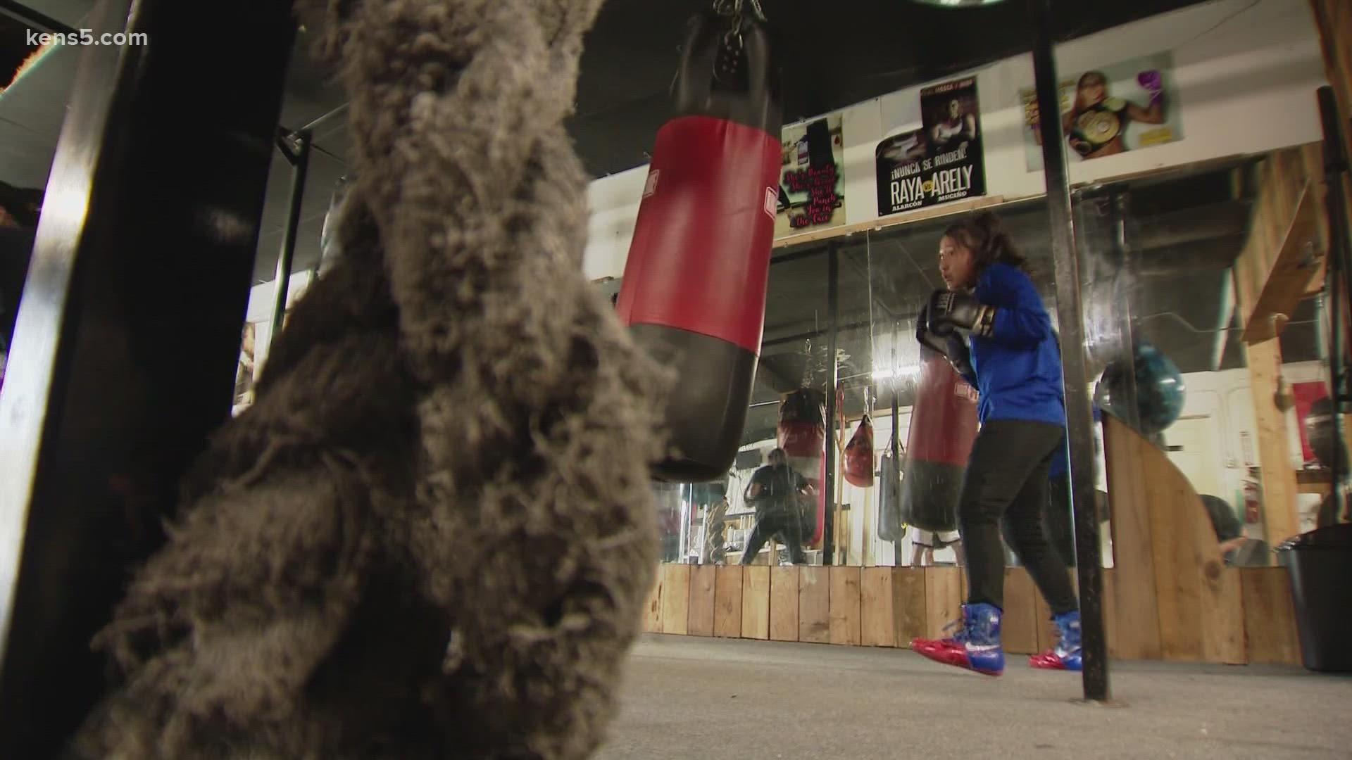 Celia and Marina Avalos started boxing three years ago. But, ringside watching their older brother was not enough; the sisters wanted a piece of the action.