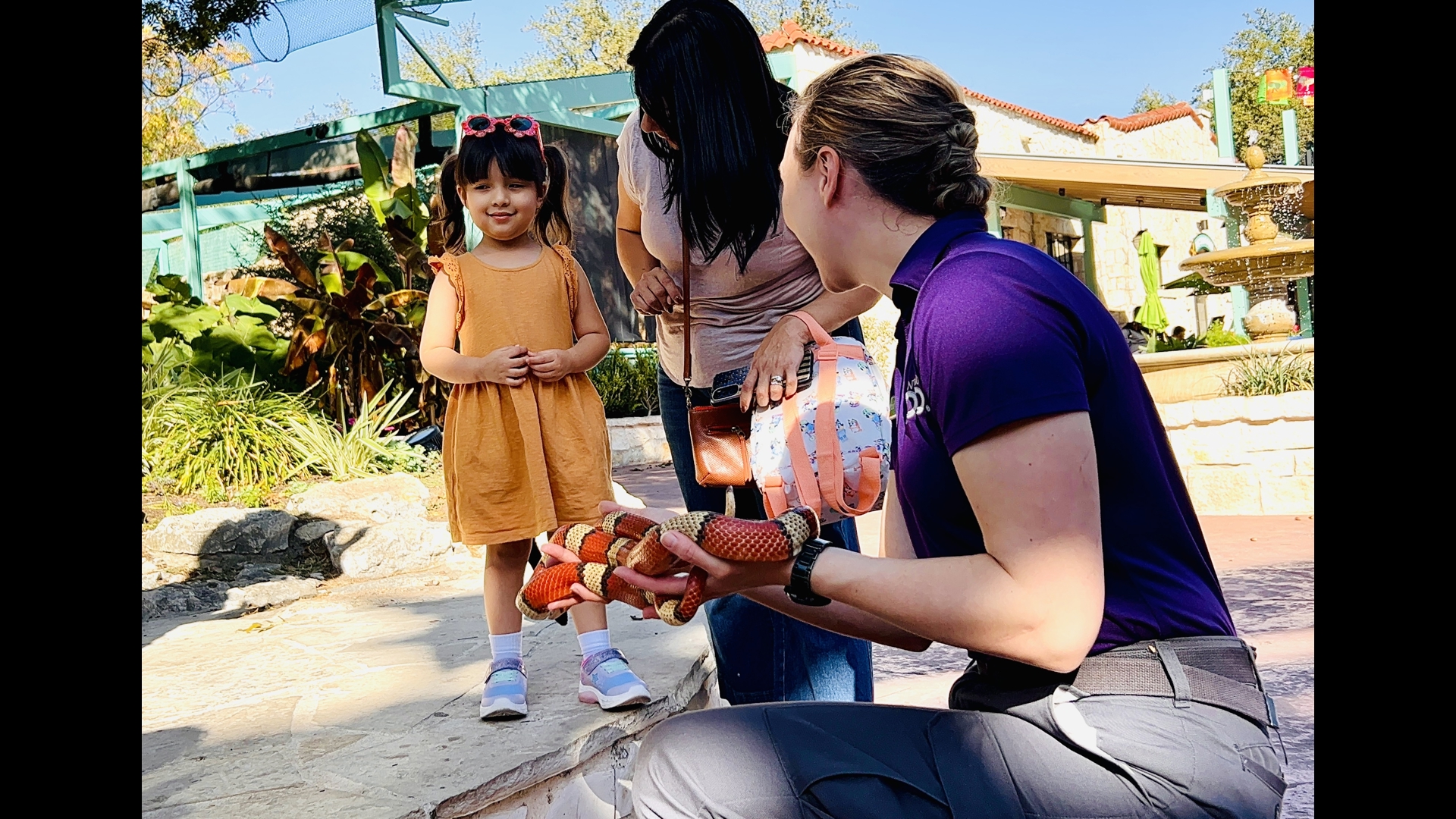 San Antonio Zoo celebrates their one millionth visitor with awesome ...