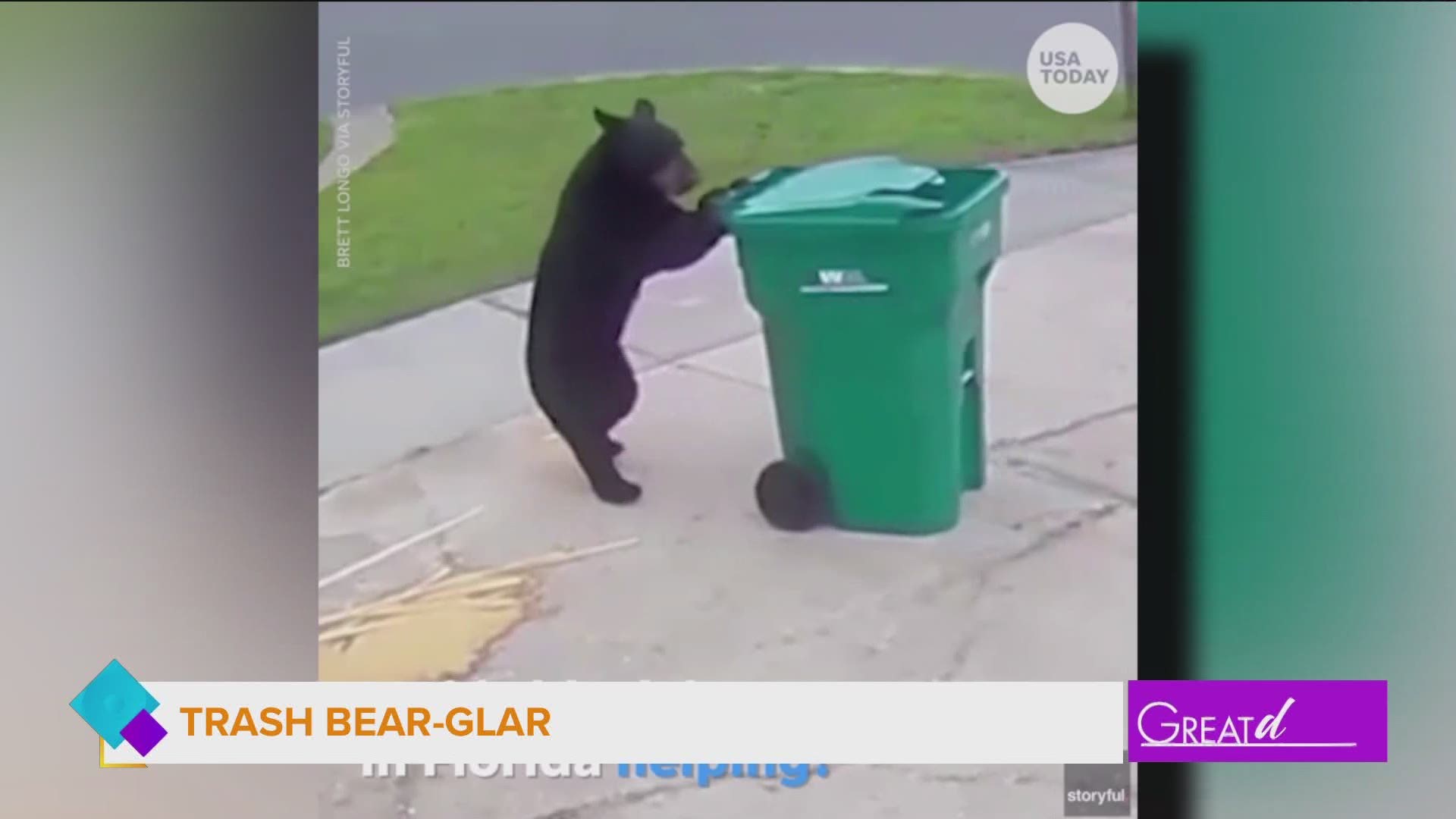Today's Pawsitive news involves an ostrich and a bear who are both up to no good.