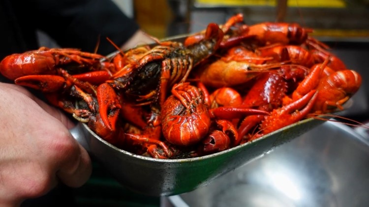 Crawfish season in full swing at San Antonio business | Everything 210