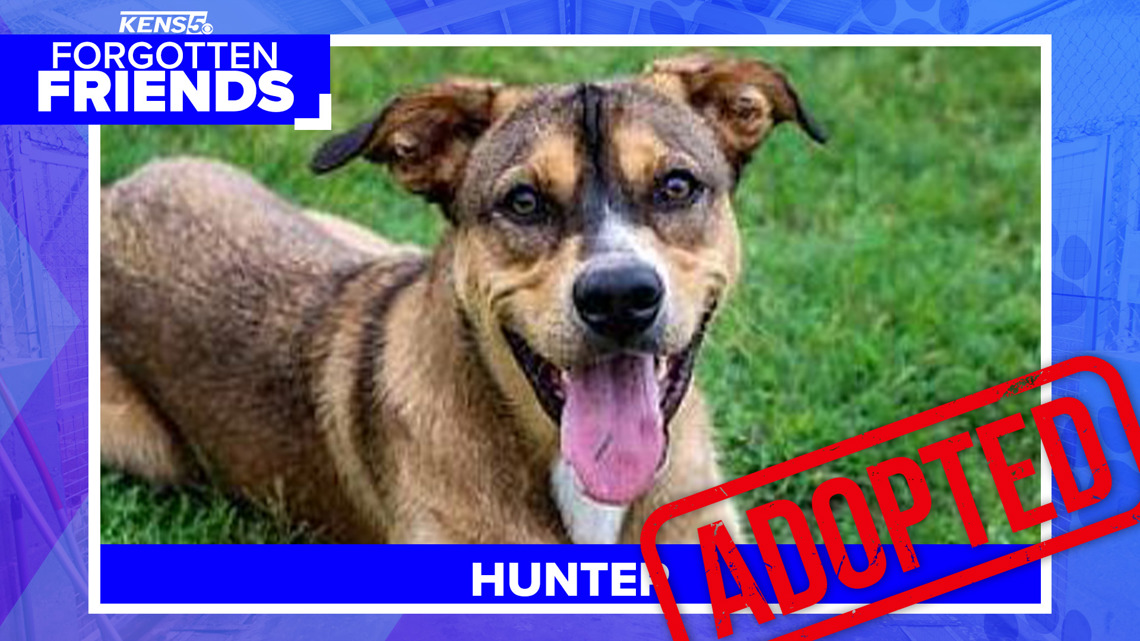 Read Hunter finally finds the forever home he waited three years for after being left tied to mailbox | Forgotten Fri...