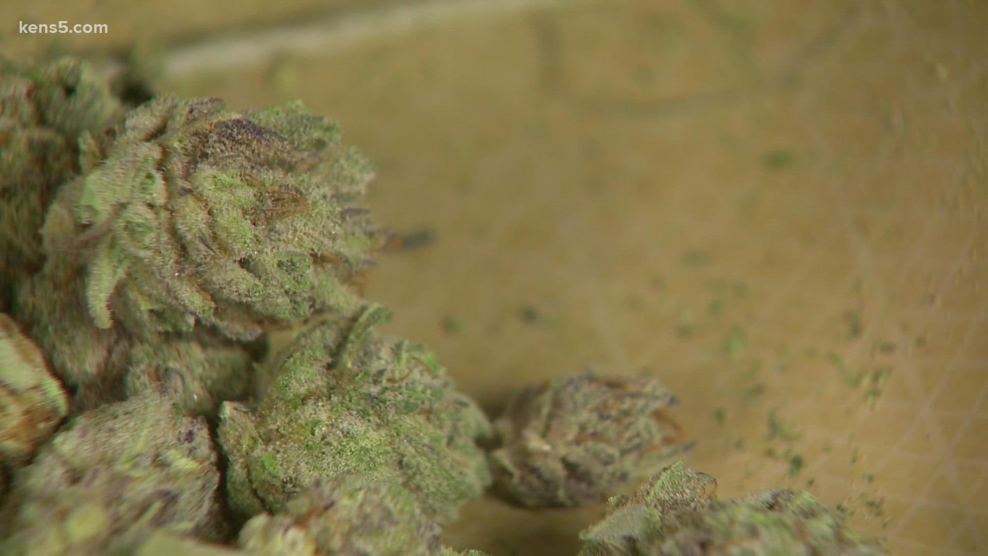 A local activist group has made inroads to combatting what they believe are overly strict marijuana laws.