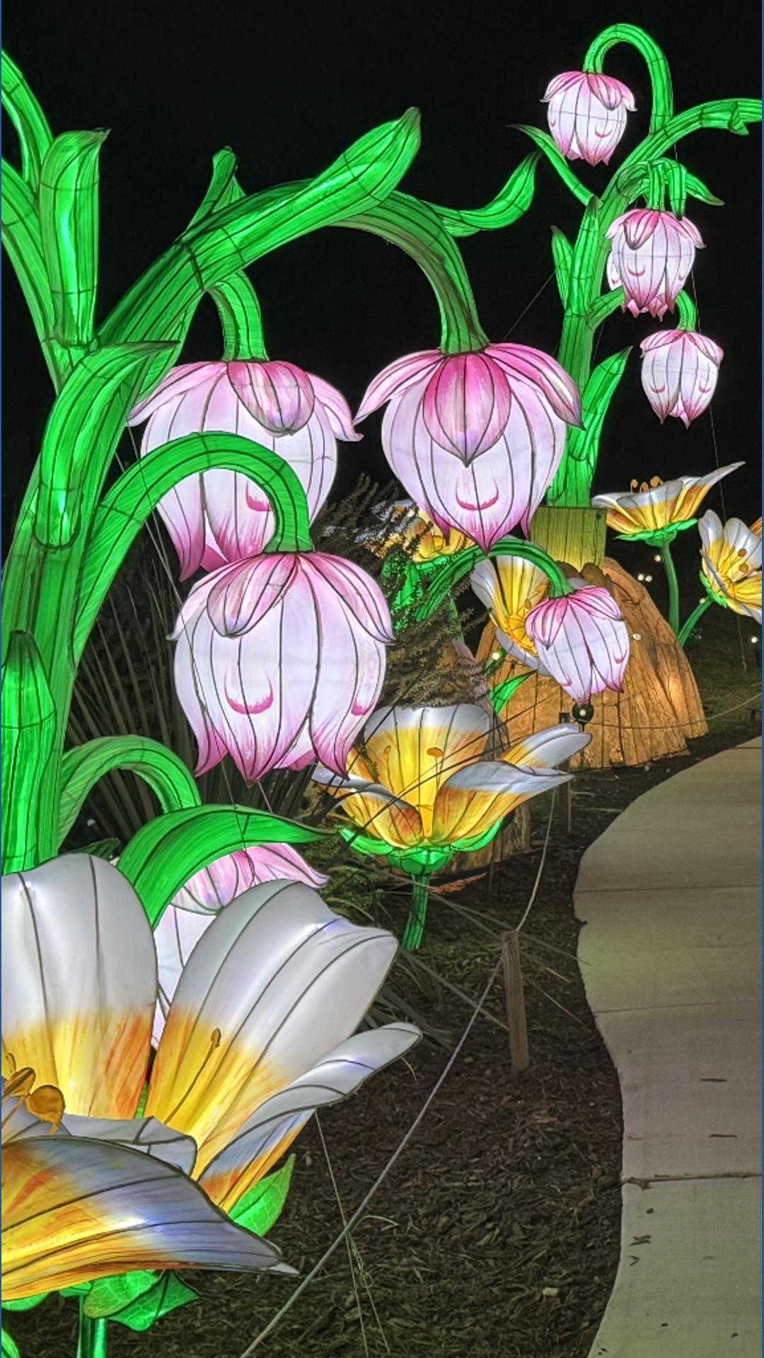 Illuminate returns with new glow as San Antonio Botanical Garden teases ...