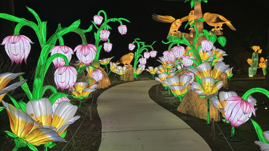 Illuminate returns with new glow as San Antonio Botanical Garden