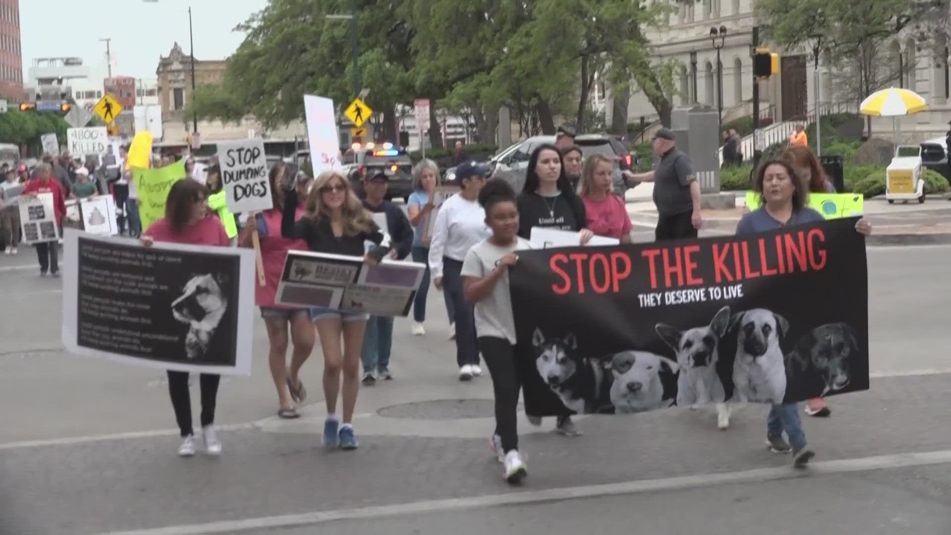 The activists say they hope to bring awareness to the amount of healthy animals being euthanized by Animal Care Services, just for shelter space.