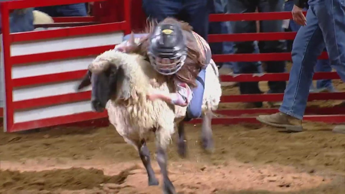 7-year-old Rayna scores 84 points to win Mutton Bustin' crown