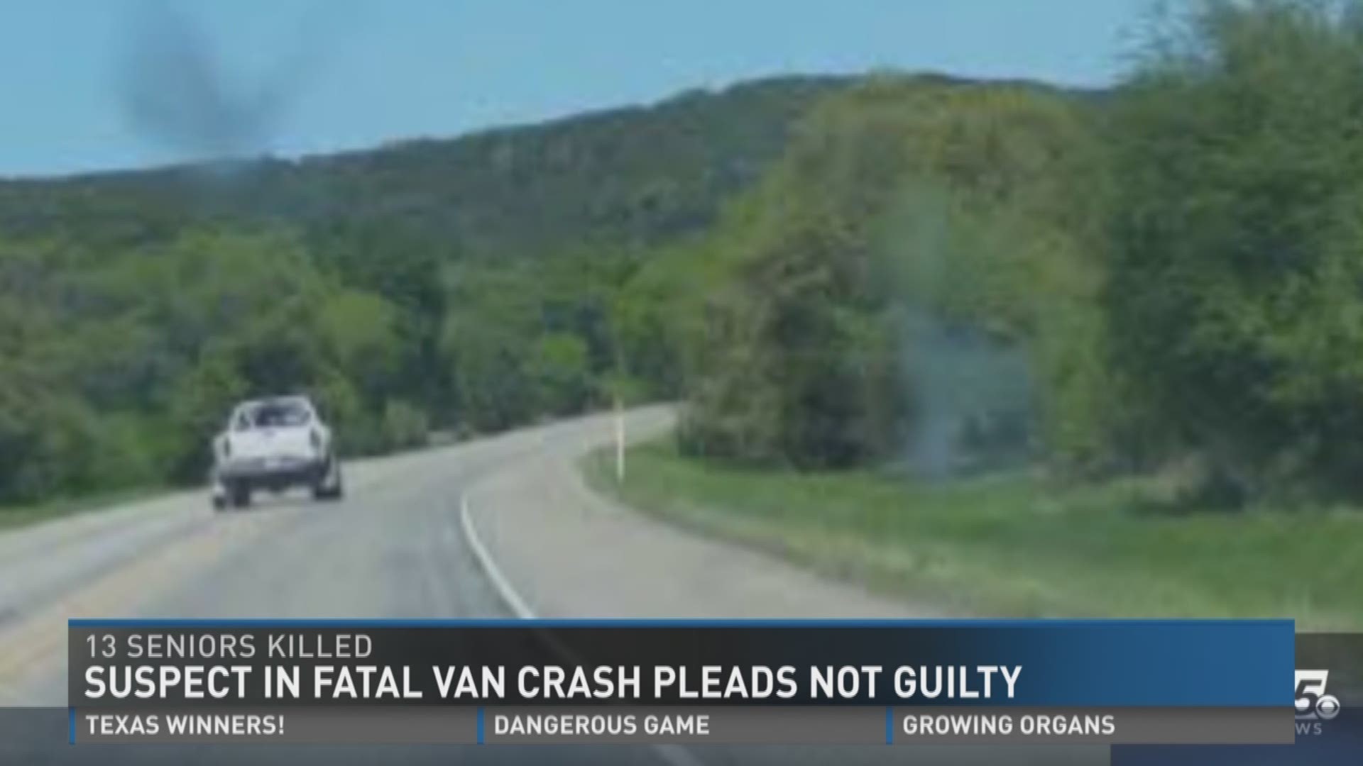 Driver in fatal van crash pleads not guilty