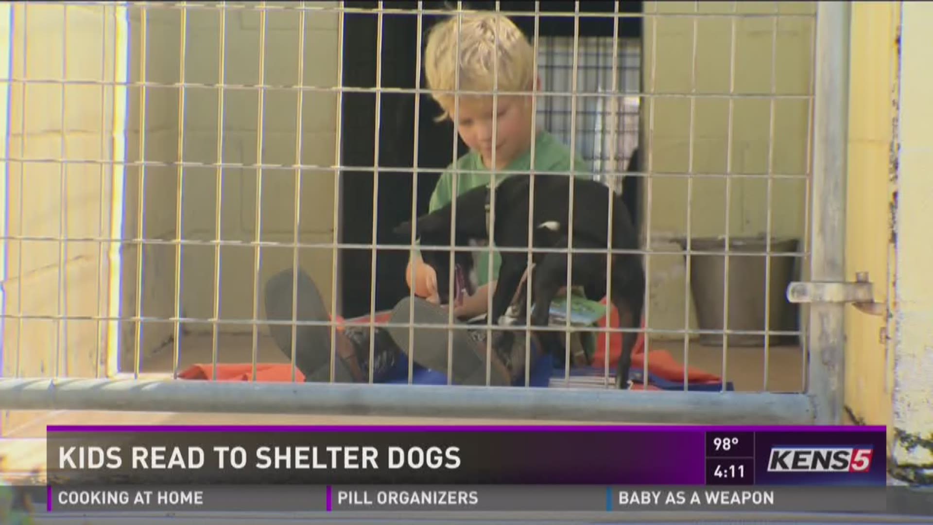 Shelter storytime: Kids read to dogs for new Humane Society program ...