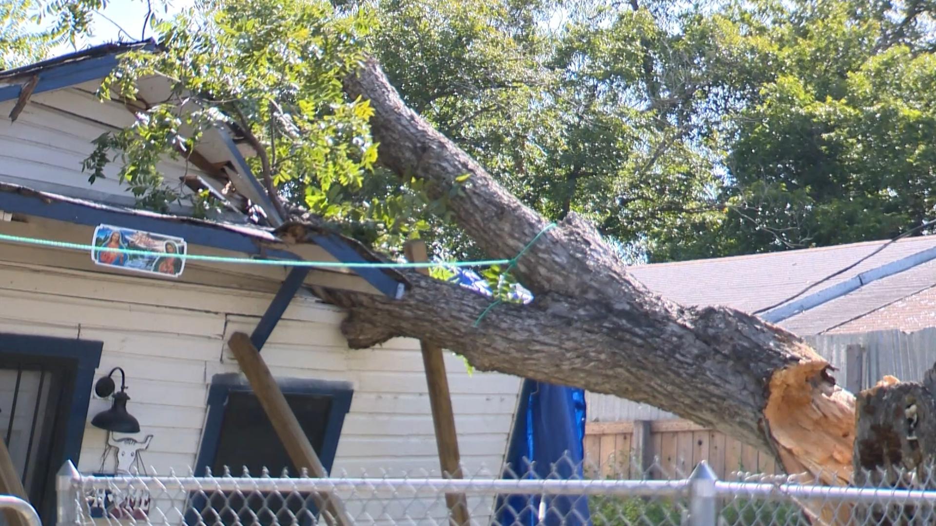 'Very hard for us': San Antonio family asks for help after storm-sparked fallen tree leaves home unlivable
