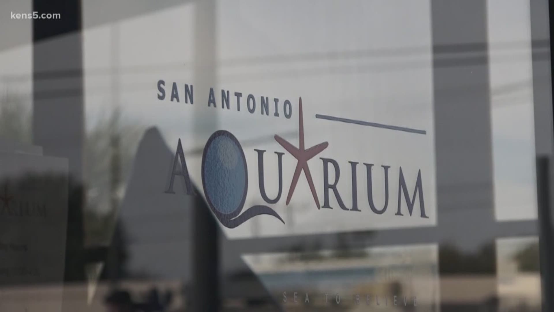 Over a week after the Leon Valley facility closed down due to code violations, the aquarium reopened to the public on Saturday.