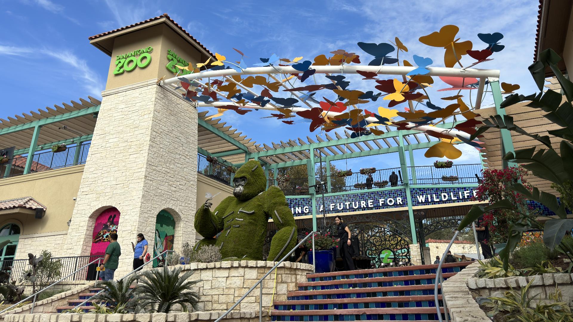 San Antonio Zoo named one of the best zoos in the world | kens5.com