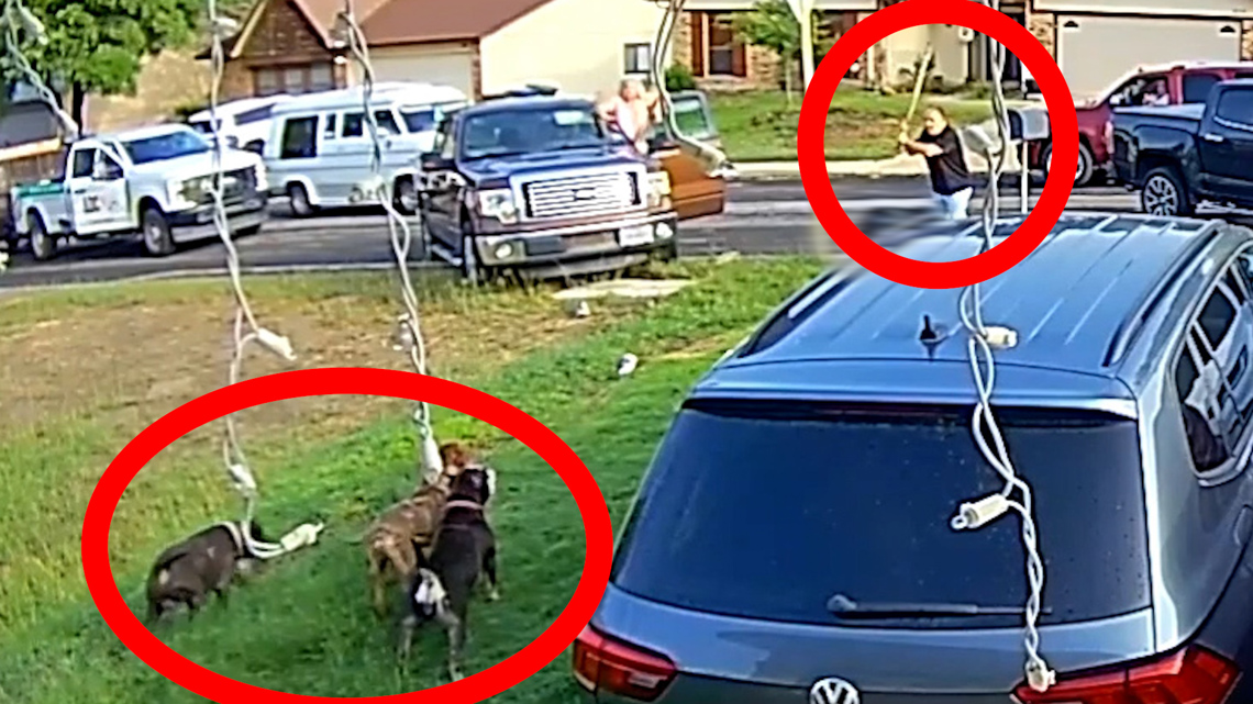 Vietnam veteran saves woman in brutal dog attack in San Antonio