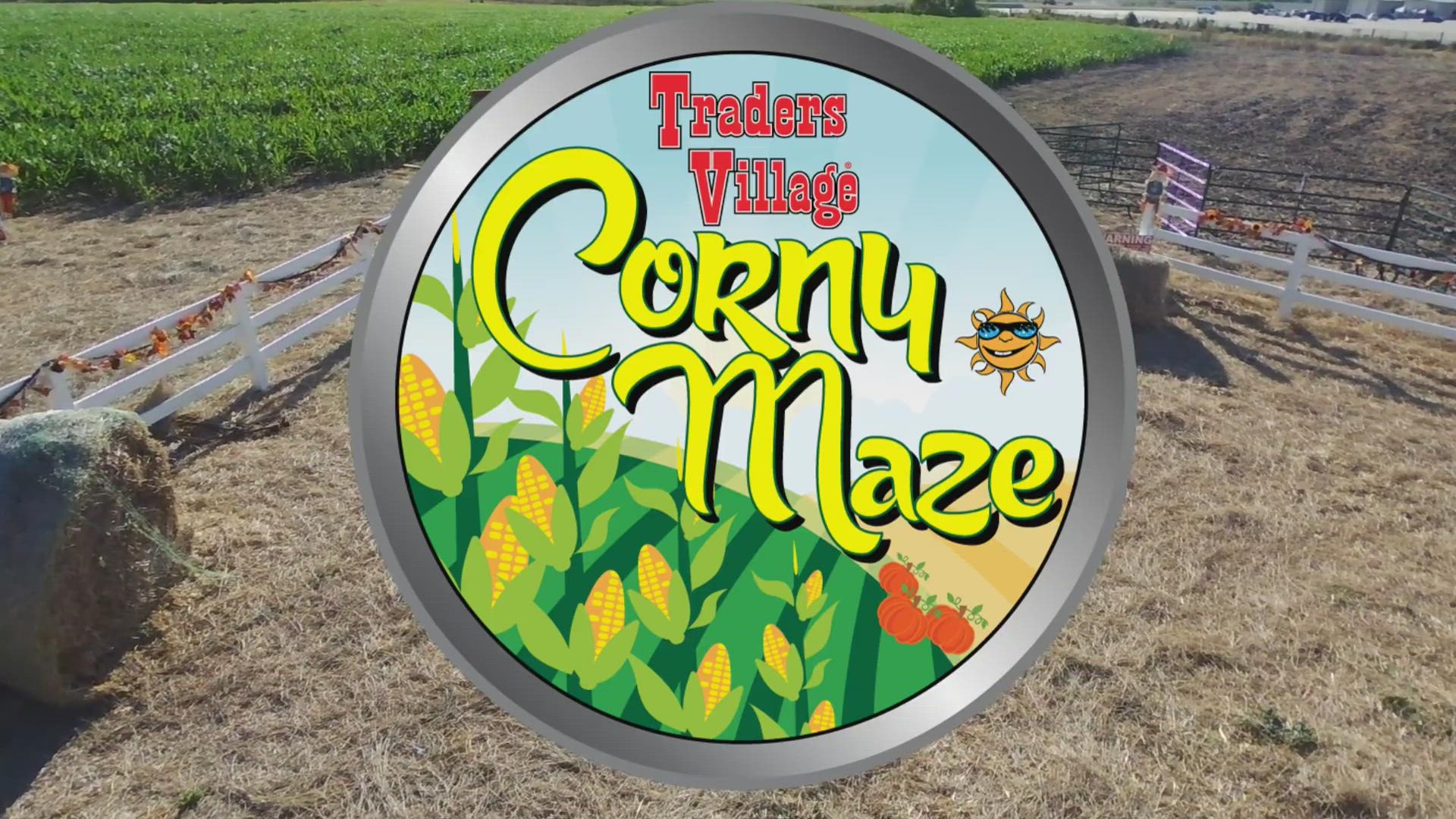 A 10-acre corn maze, the Corny Maze, is now open at Traders Village until late November.