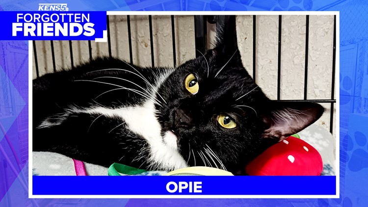 Opie was adopted, then abandoned again | Forgotten Friends