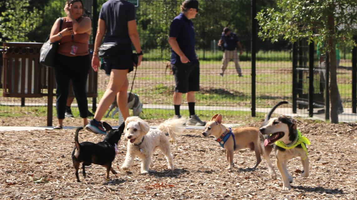 San Antonio unleashes new dog park at Concepcion Park