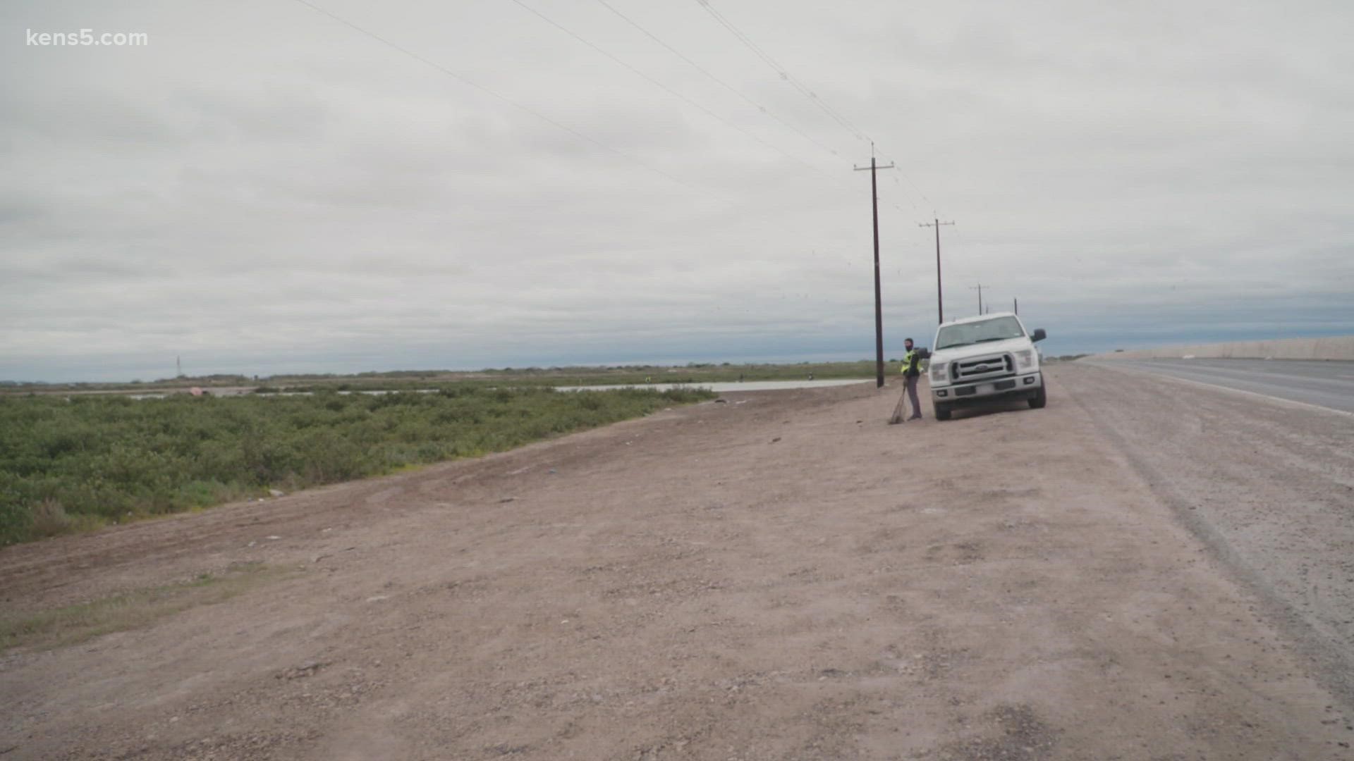 Every time a cold front arrives, one woman goes to a south Texas bridge and waits outside of her car, looking for birds to save.