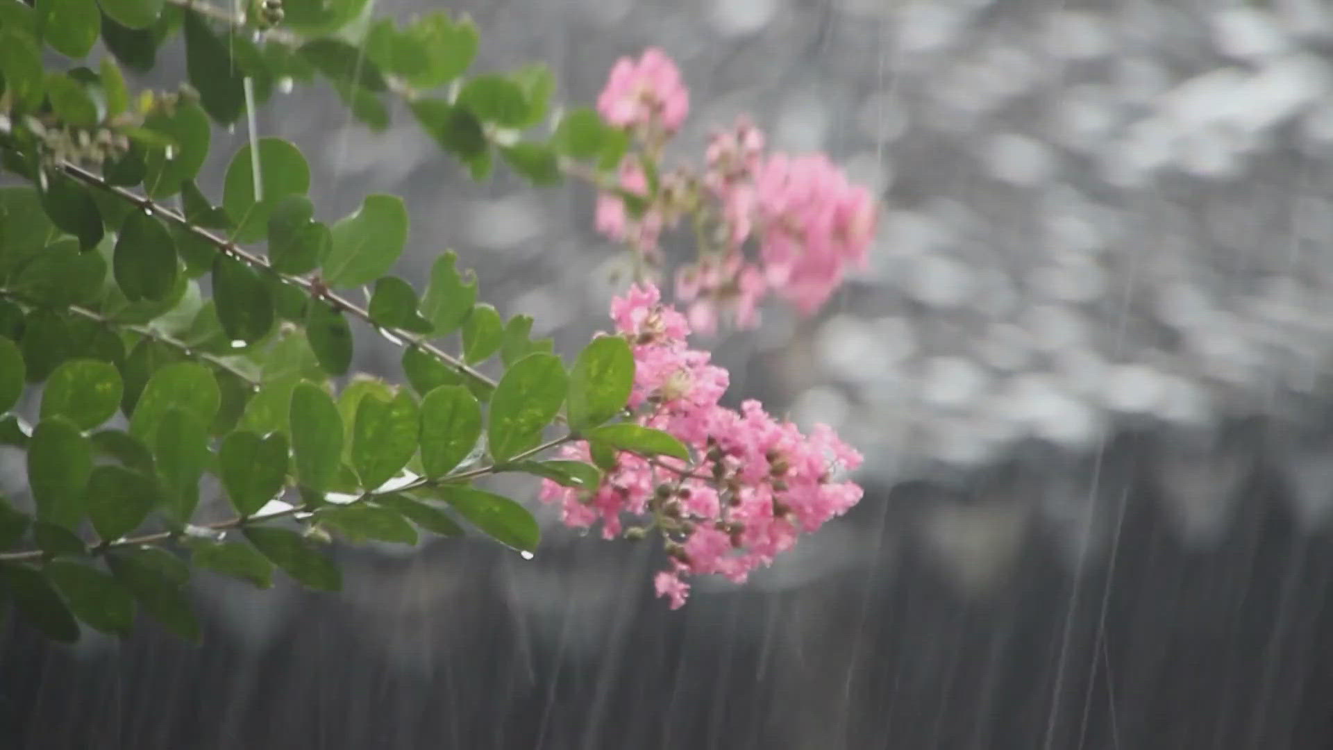 Many may be wondering how that rainfall impacted the drought which continues to worsen as the days go on. And the quick answer, it hardly impacted it at all.