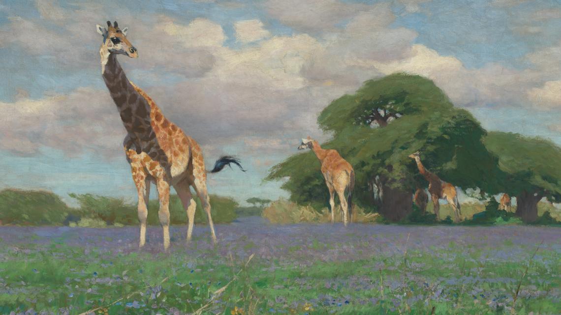 Briscoe museum unveils summer exhibition and programs for adults and kids - Vimarsana News
