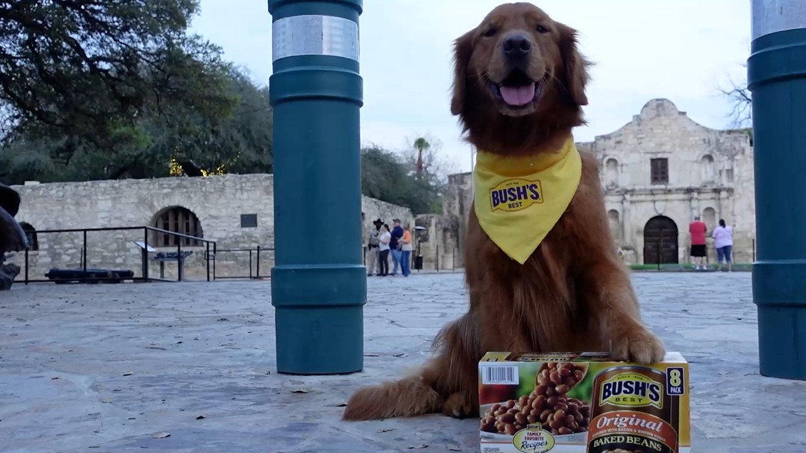 Duke from BUSH's Beans comes to San Antonio