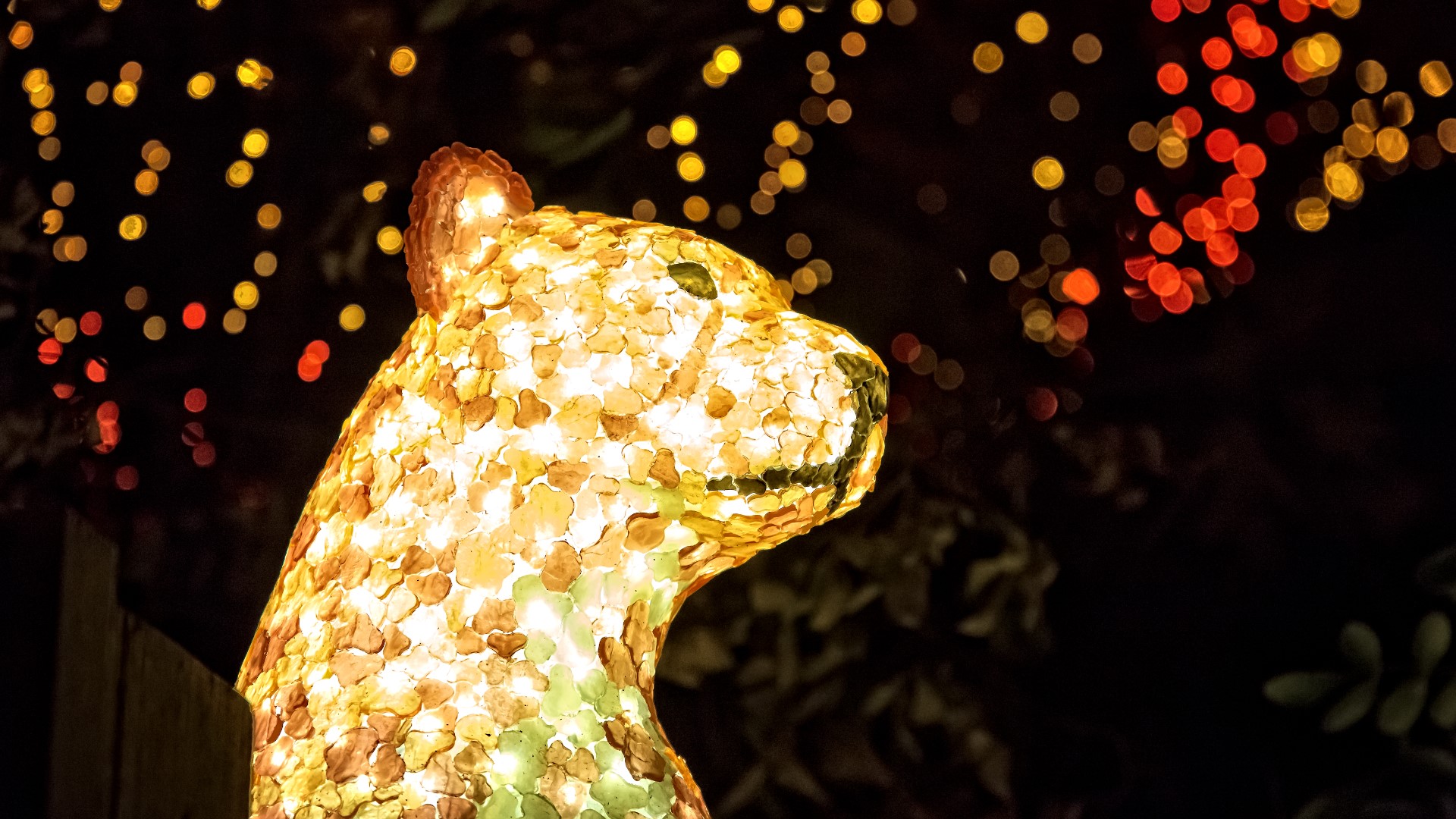 San Antonio Zoo to host sensory-friendly Night for Zoo Lights