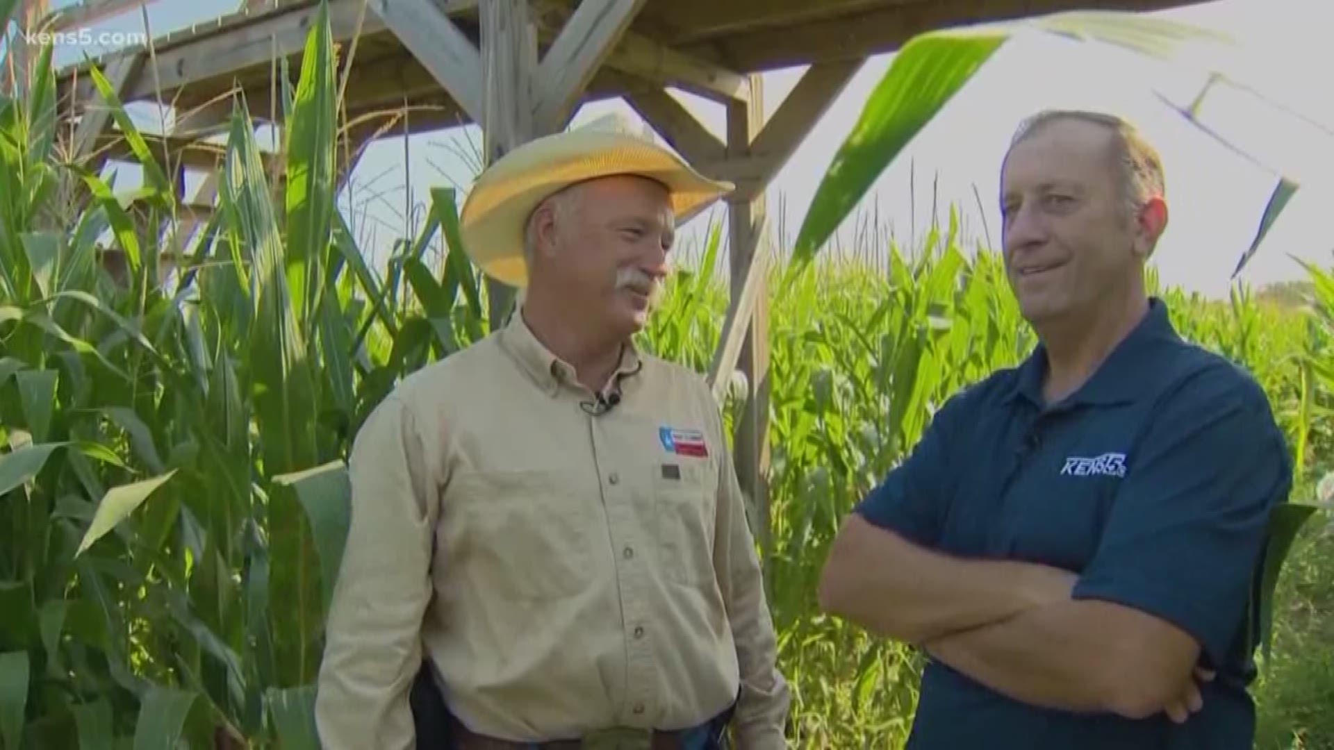 We're headed to a place where you can get lost and have a blast. Join us as we enter the South Texas Corn Maize in Hondo in this week's Texas Outdoors.