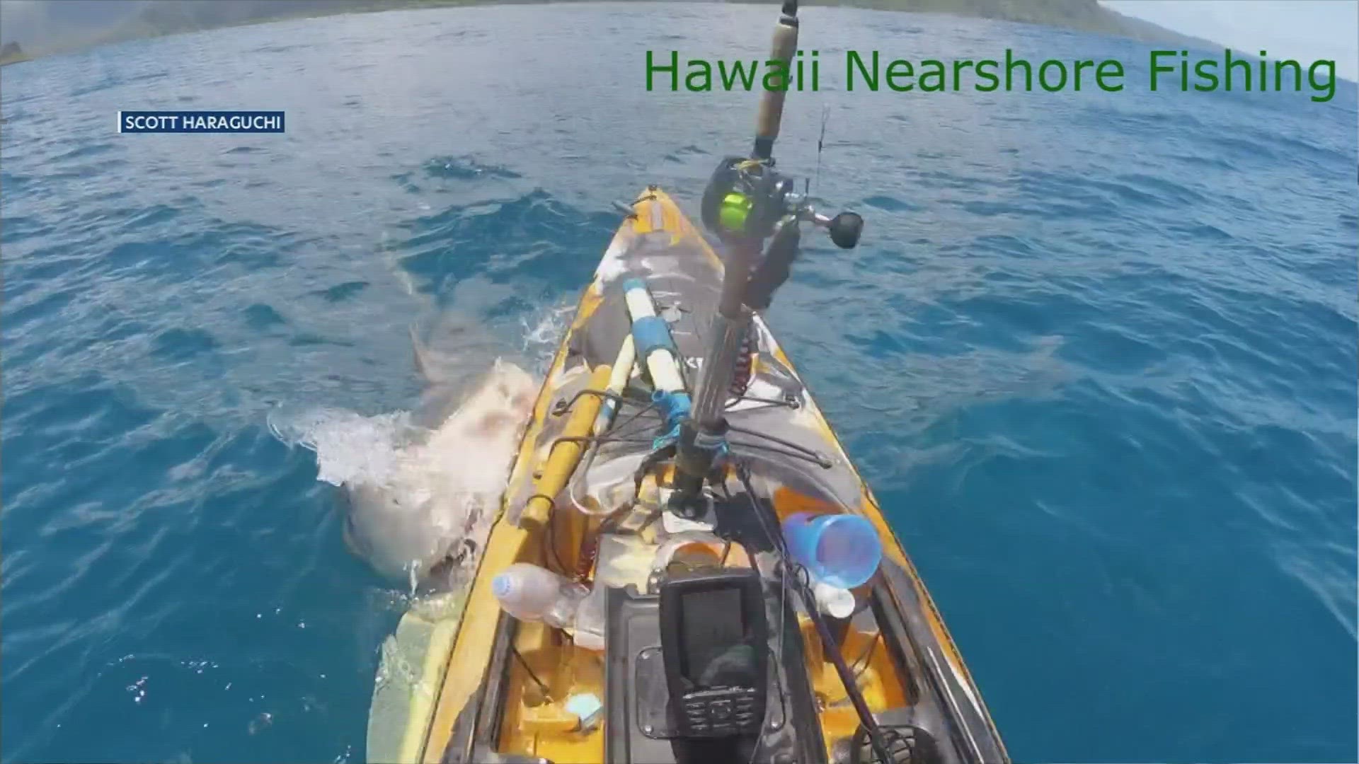 This video out of Hawaii shows a crazy encounter with a shark.