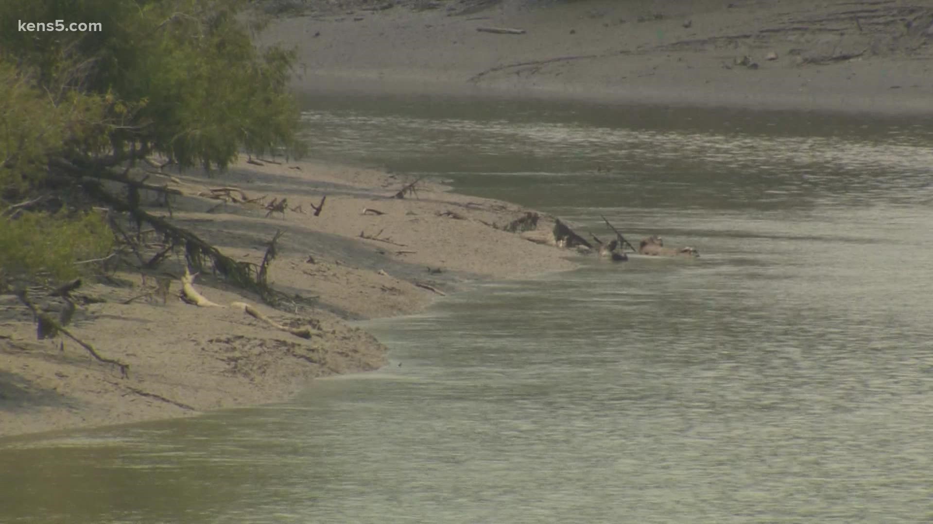 Community members around the lake are questioning the Guadalupe-Blanco River Authority's handling of the situation.