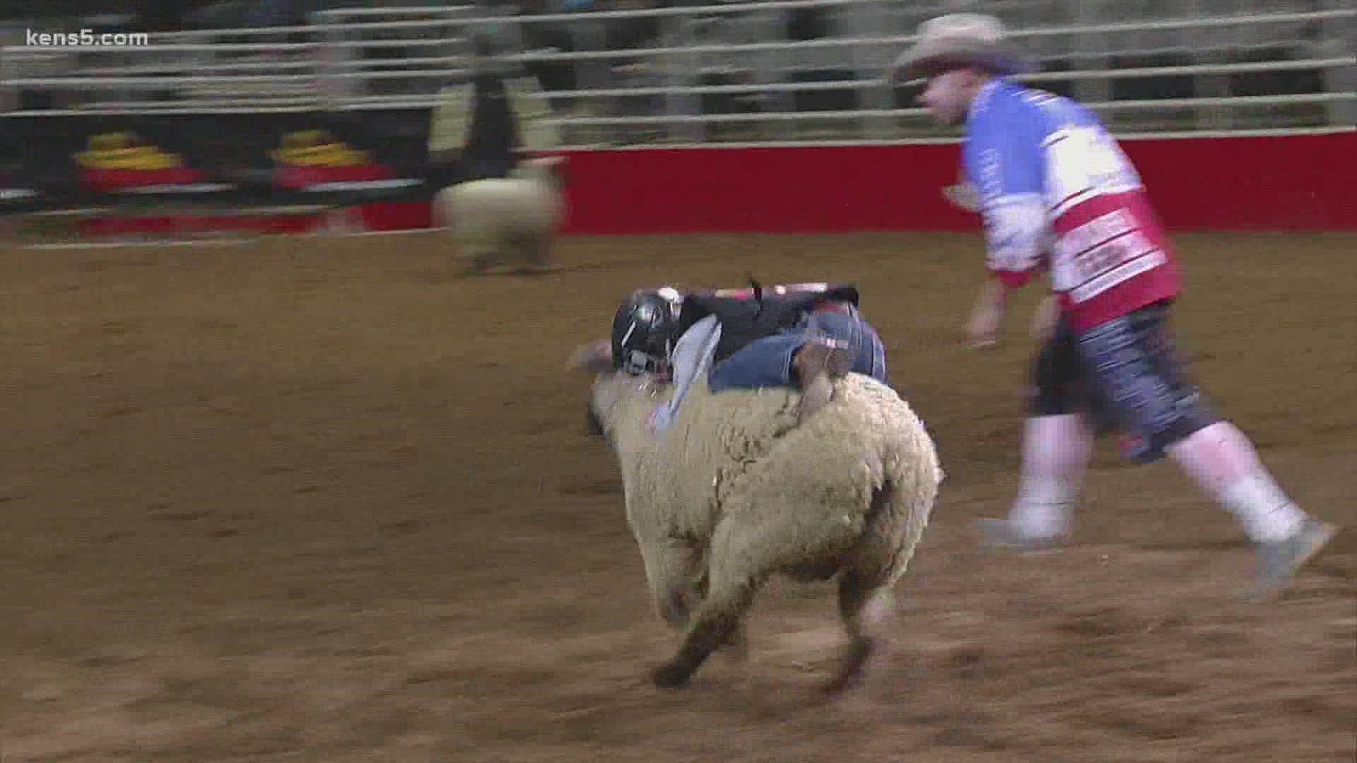 We've got the San Antonio Stock Show & Rodeo Mutton Busting video that is sure to make you smile.