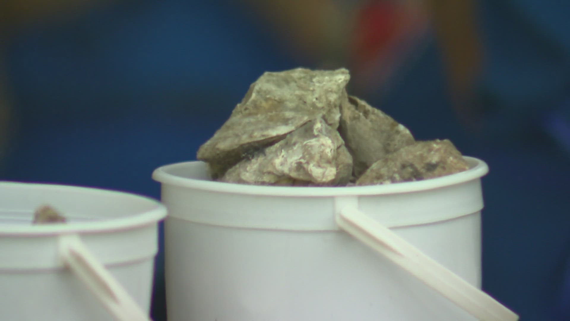 This is a century-long celebration and it's always a must-see event across town.