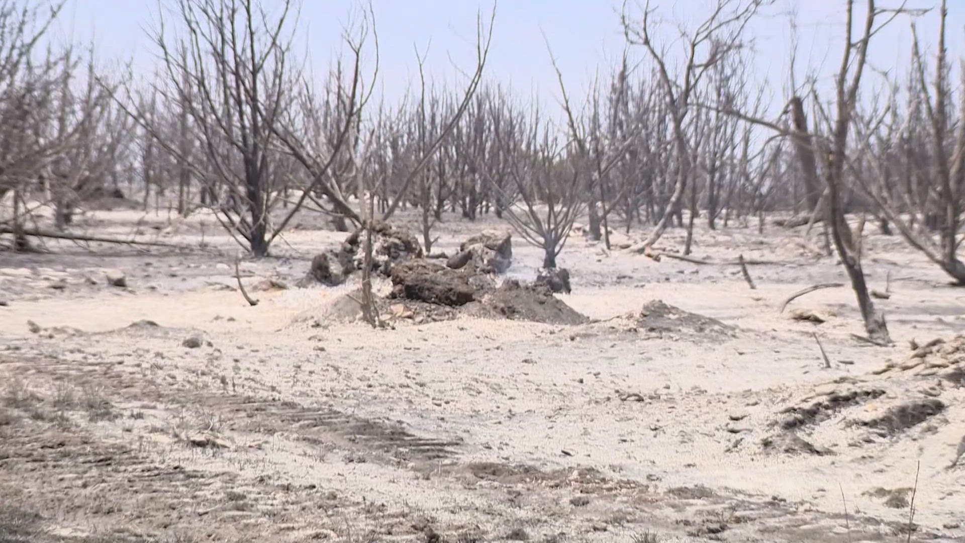 Fire officials are also urging extreme caution in the coming days amid extreme heat in Texas.