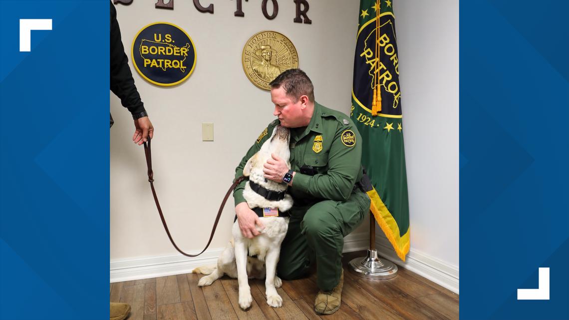 Laredo Border Patrol introduces first support K9