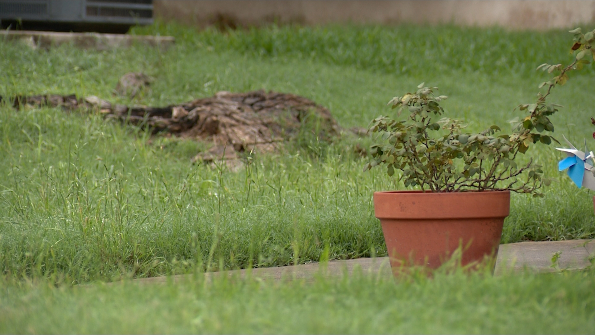 A landscaping contractor promised Ester Lockhart a refund and then stopped returning her texts. Then KENS 5 got involved.