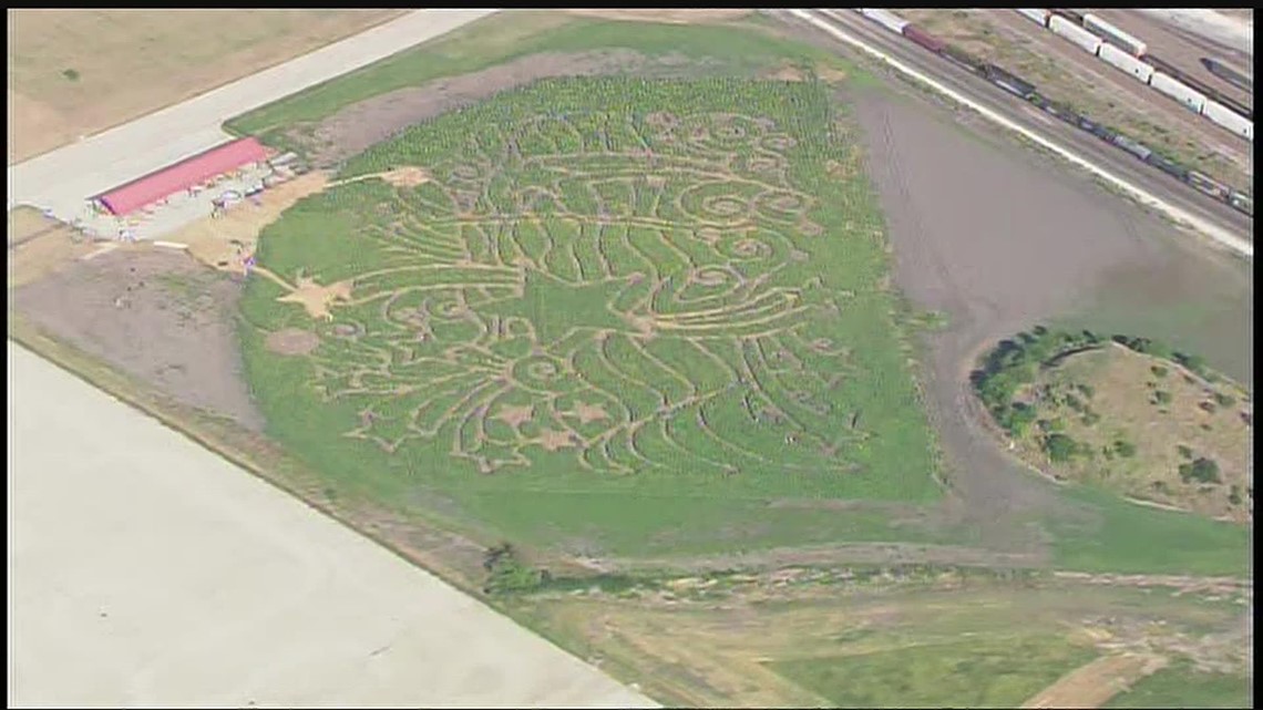 Traders Village Sunflower Field opens Friday