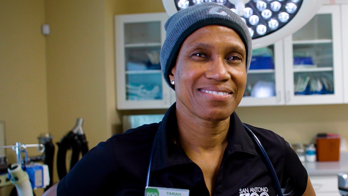 Veterinarian at San Antonio Zoo named finalist for national award - Vimarsana News