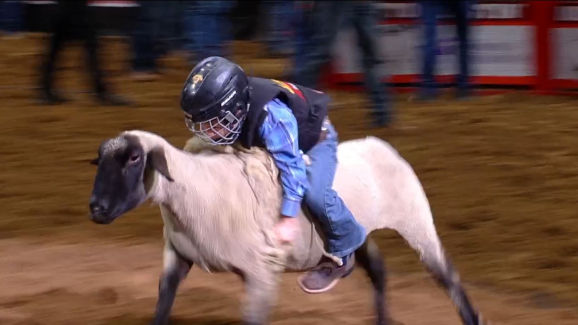 SA RODEO CONTEST: Win a Mutton Bustin' ride for your child