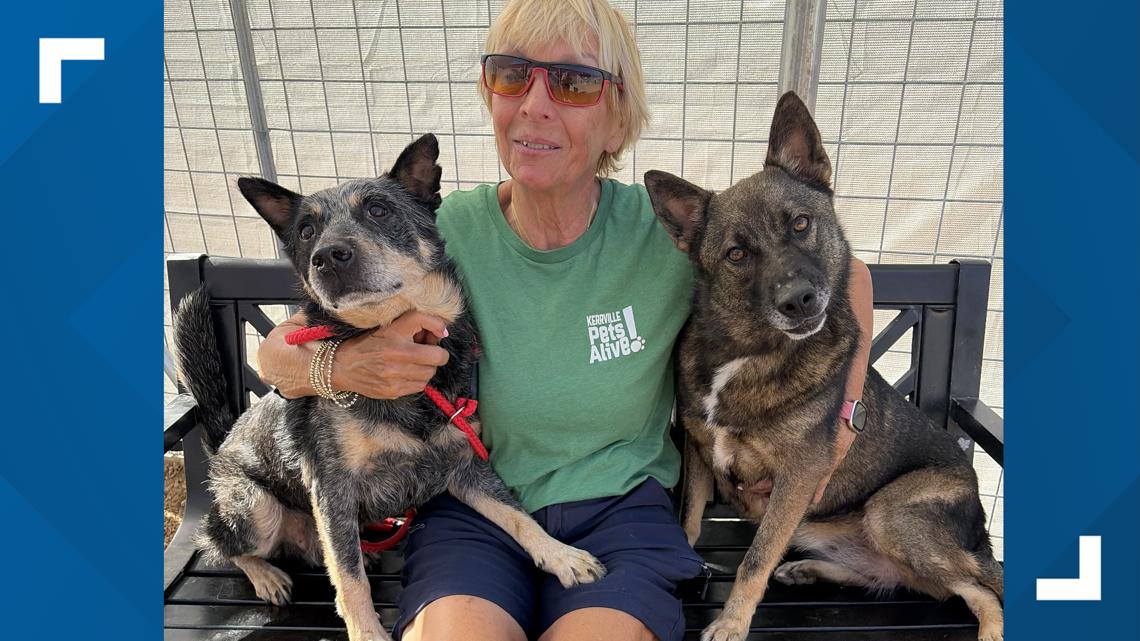 Flood forced them to leave everything behind, including the dogs they love